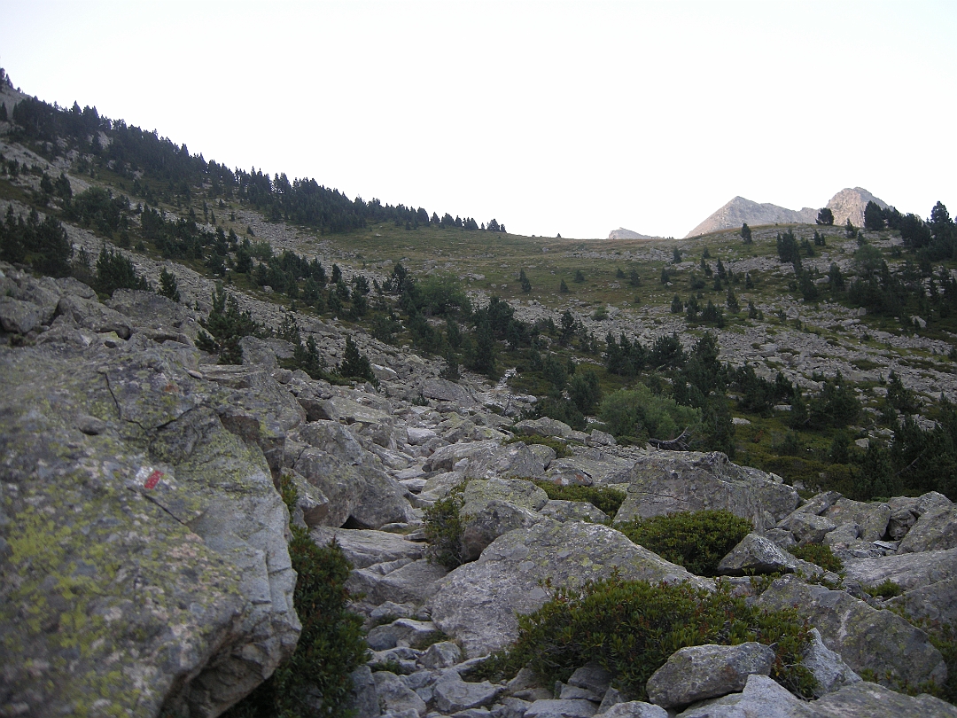 Pirineos_2021 355